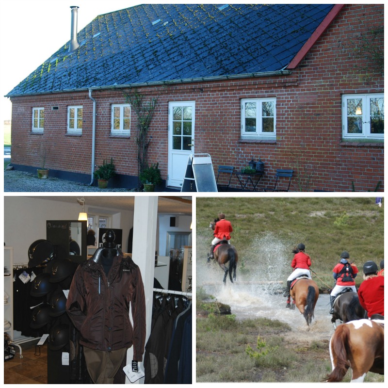 Pikeur Ridebukser